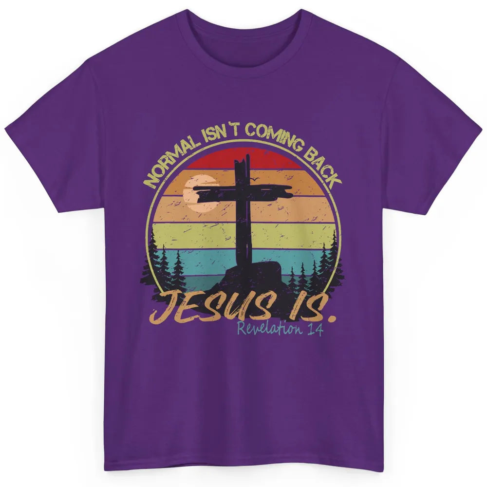 Vintage Normal Isn't Coming Back Jesus is Christian Western Classic Unisex T-Shirt