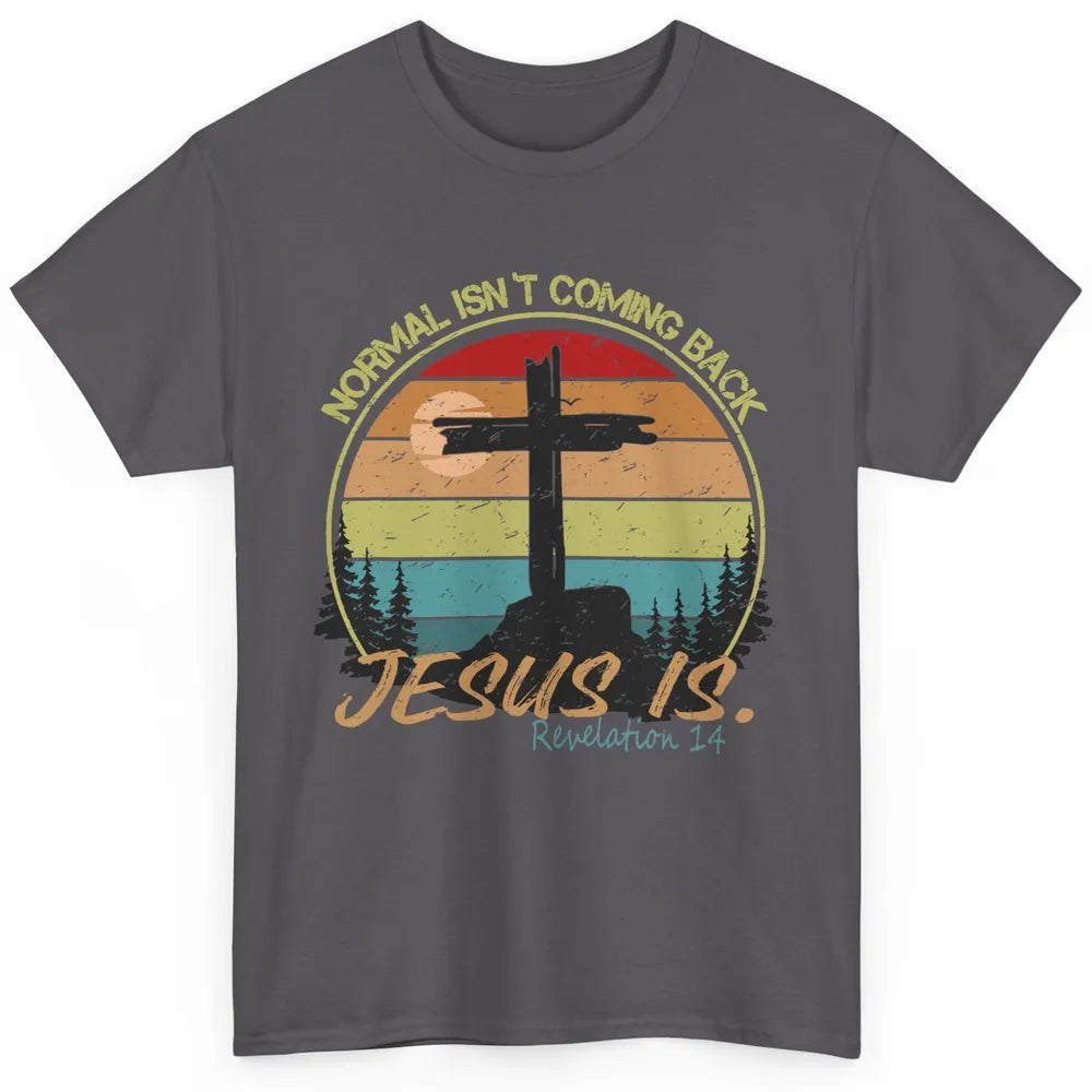 Vintage Normal Isn't Coming Back Jesus is Christian Western Classic Unisex T-Shirt