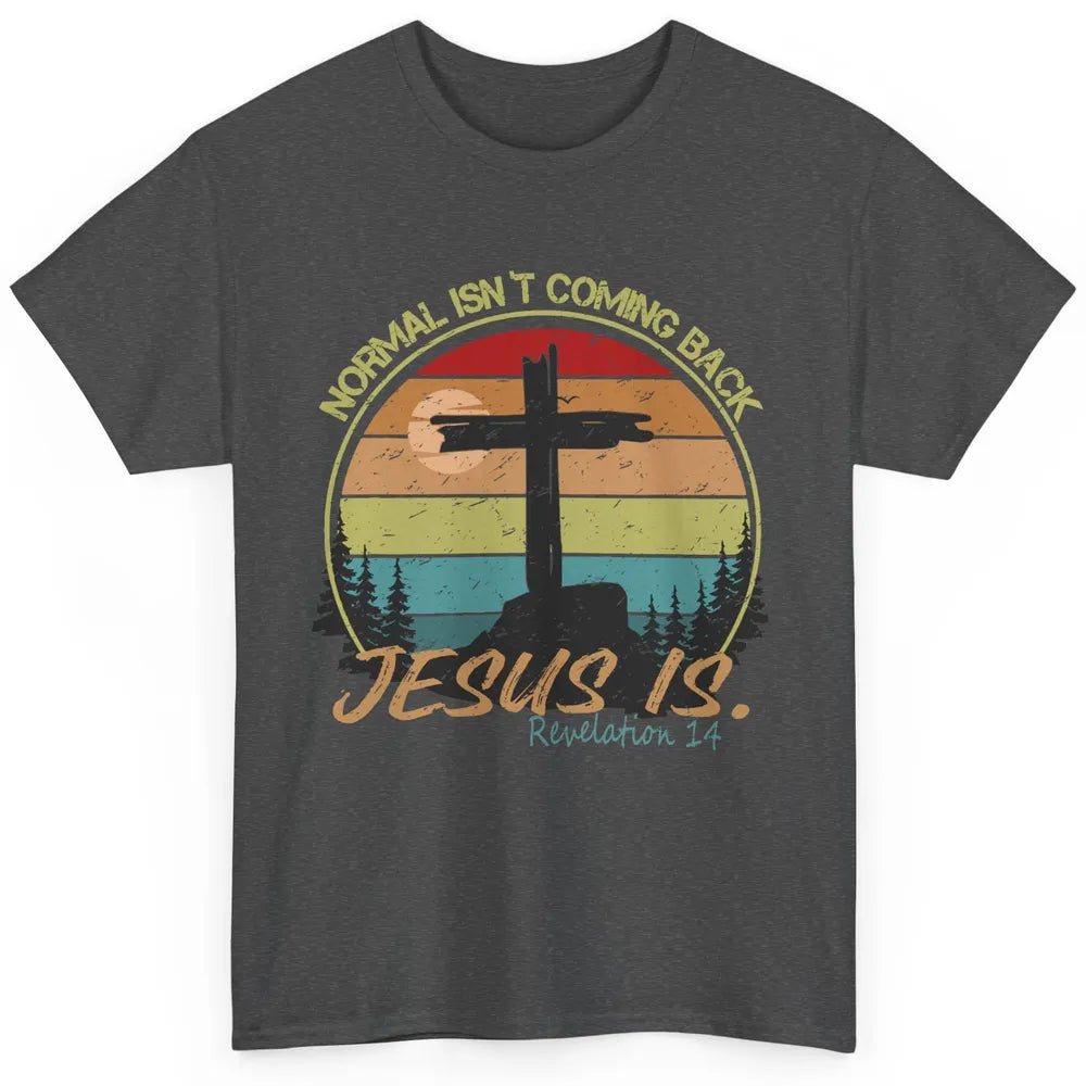 Vintage Normal Isn't Coming Back Jesus is Christian Western Classic Unisex T-Shirt