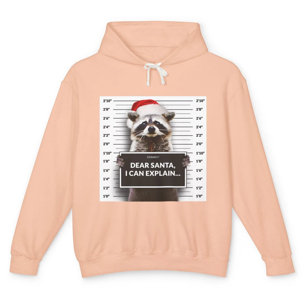 Funny Dear Santa I Can Explain Raccoon Xmas Merry Christmas Unisex Lightweight Hoodie
