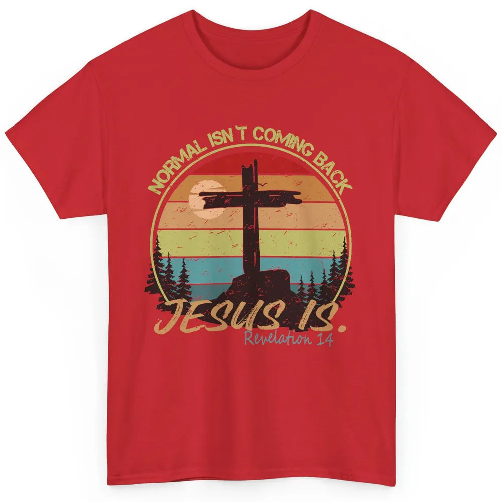 Vintage Normal Isn't Coming Back Jesus is Christian Western Classic Unisex T-Shirt